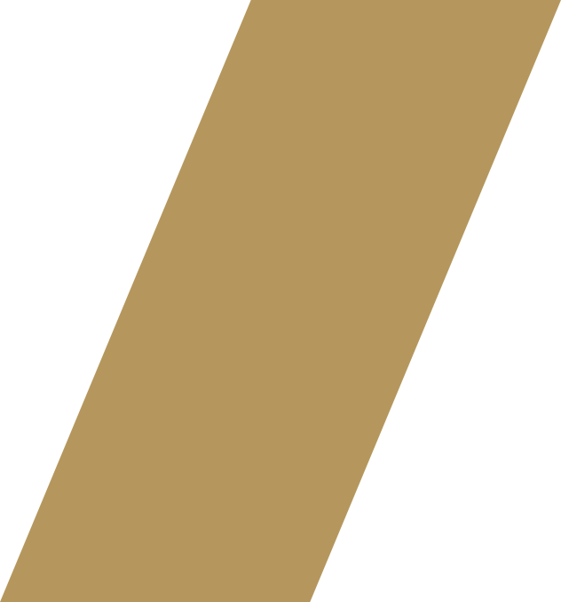 Ligne arrière plan doré Moto Taxi Parisiens